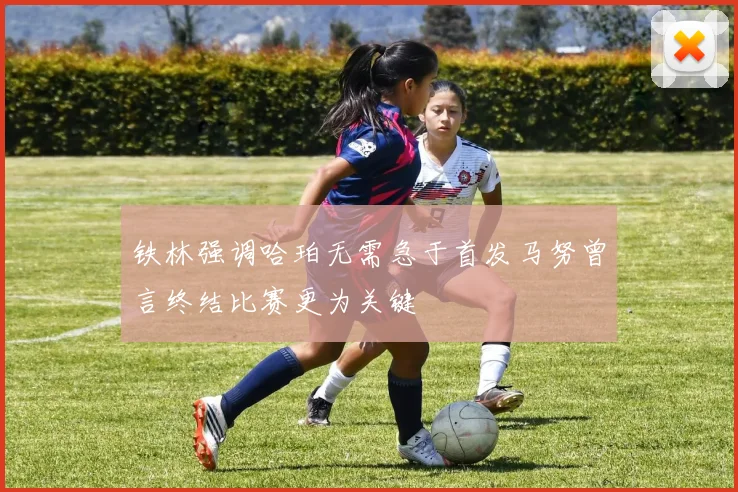 铁林强调哈珀无需急于首发马努曾言终结比赛更为关键